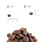 Alleva Equilibrium Cat сухой корм для котят с курицей #4